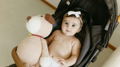 graco snugride manual 35dlx