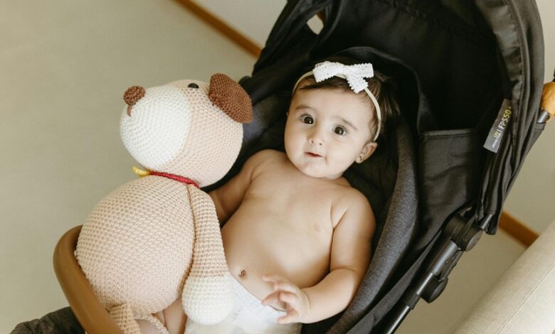 graco snugride manual 35dlx