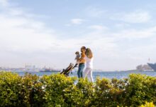 graco travel system guide