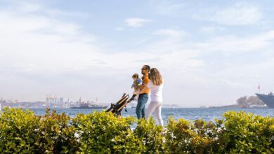 graco travel system guide