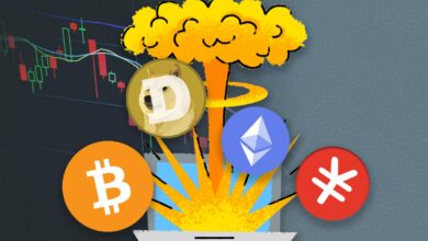 0x10ed43c718714eb63d5aa57b78b54704e256024e