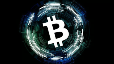 1bpawv8f1gnxap6vzbhjgjlfa8vsfpl4tf