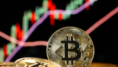 bc1qm34lsc65zpw79lxes69zkqmk6ee3ewf0j77s3h