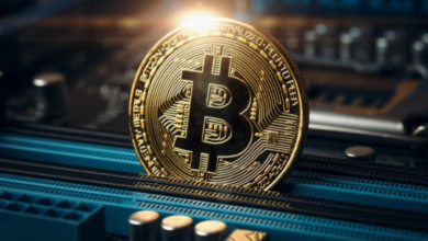 1pkdeafufx6rkfw7jh8e7dim8b6cyeyked