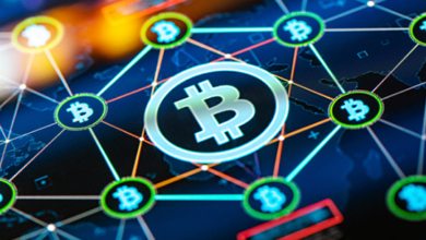 1bggz9tcn4rm9kbzdn7kprqz87sz26samh