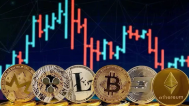 bc1qq2euq8pw950klpjcawuy4uj39ym43hs6cfsegq”