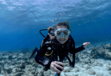 Diving with Sharks: The Ultimate Underwater Adventure