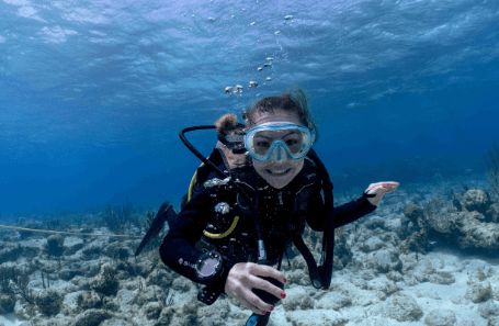 Diving with Sharks: The Ultimate Underwater Adventure