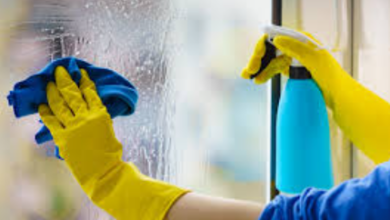 Crystal Clear Views The Complete Guide to Window Cleaning Excellence