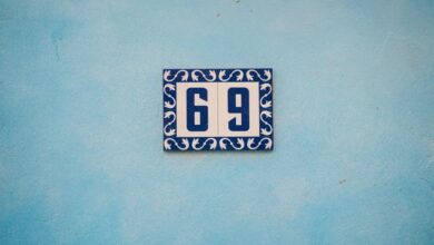 audit of incoming call records logs