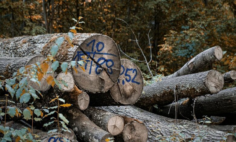 quality check on incoming calls