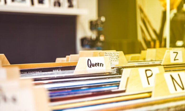 review data records for verification