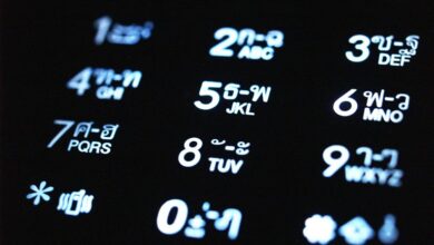validate caller data integrity details numbers list