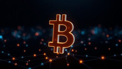 0x55d398326f99059ff775485246999027b3197955