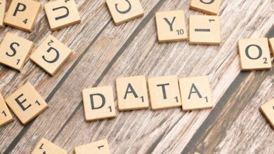 user data verification batch details