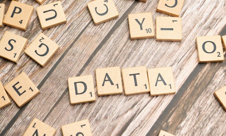 user data verification batch details