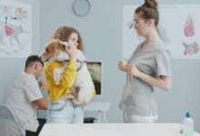 7 Reasons Pet Owners Trust Petbook Veterinary Clinic for Exceptional Care