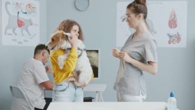 7 Reasons Pet Owners Trust Petbook Veterinary Clinic for Exceptional Care