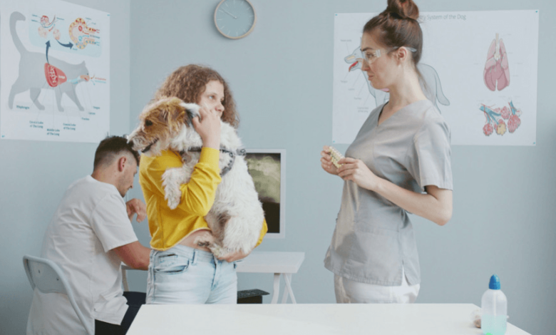 7 Reasons Pet Owners Trust Petbook Veterinary Clinic for Exceptional Care