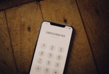 phone numbers listed for validation