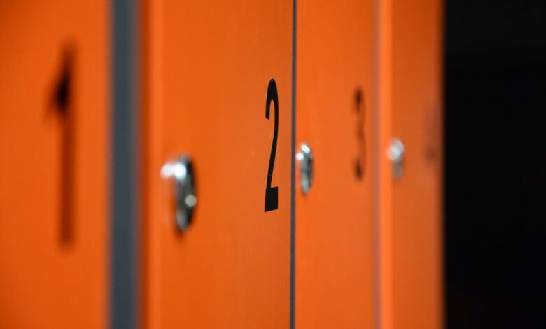 security reference numbers extracted