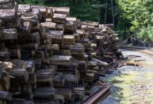 track infrastructure logs myradyschart lidl guhuozai6 etc