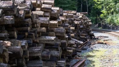 track infrastructure logs myradyschart lidl guhuozai6 etc