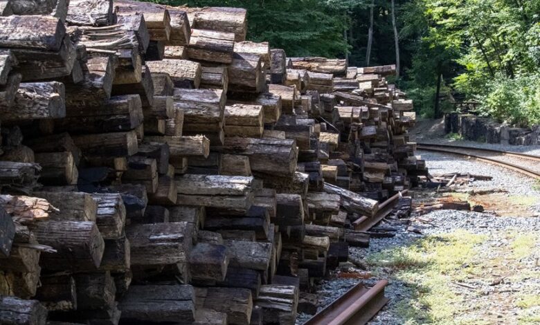 track infrastructure logs myradyschart lidl guhuozai6 etc