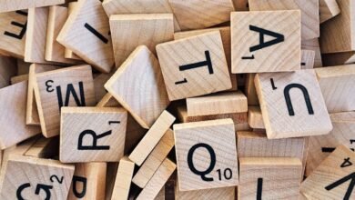 hidden numbers verification list