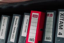 latest numeric records list ids