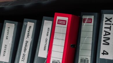 latest numeric records list ids