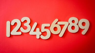 number identity tracking identifiers listed