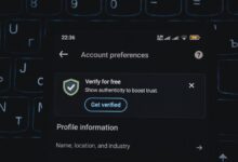 phone numbers for verification records