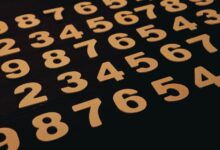 phone numbers list for verification