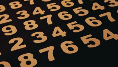 phone numbers list for verification