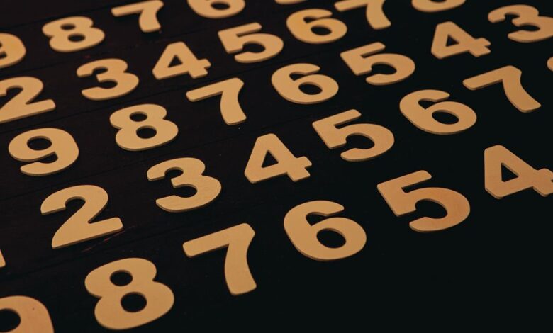 phone numbers list for verification