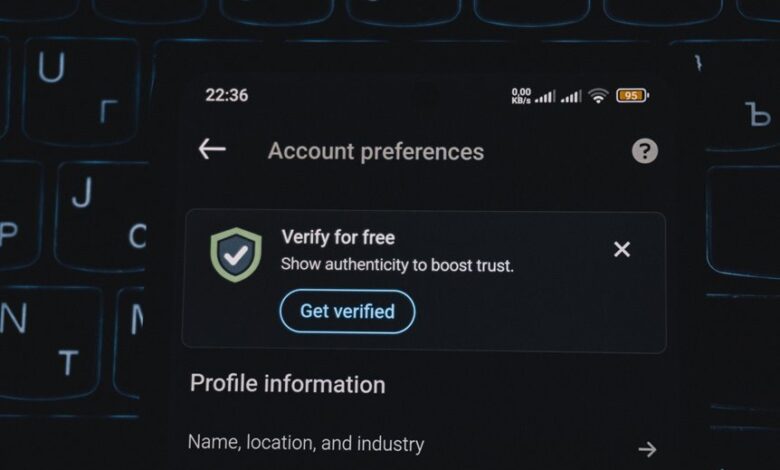 phone verification numbers list provided