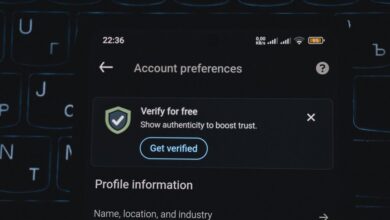 phone verification numbers list