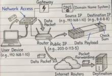 103.101.92.184: A Guide to IP Address Tracking and Network Information