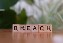 pwned 71m naz api breach